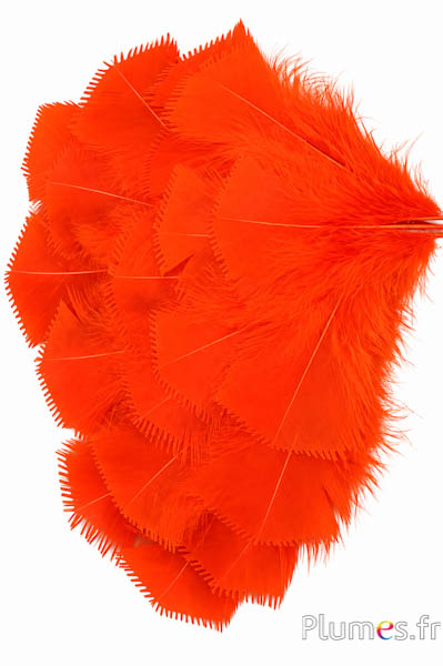 Tacchina - 6-8 cm - arancione